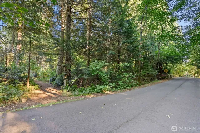 a view of a yard with plants and trees