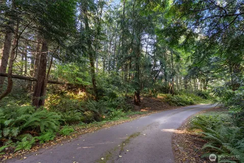 a big yard with lots of green space and deers