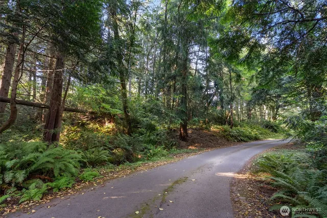 a big yard with lots of green space and deers