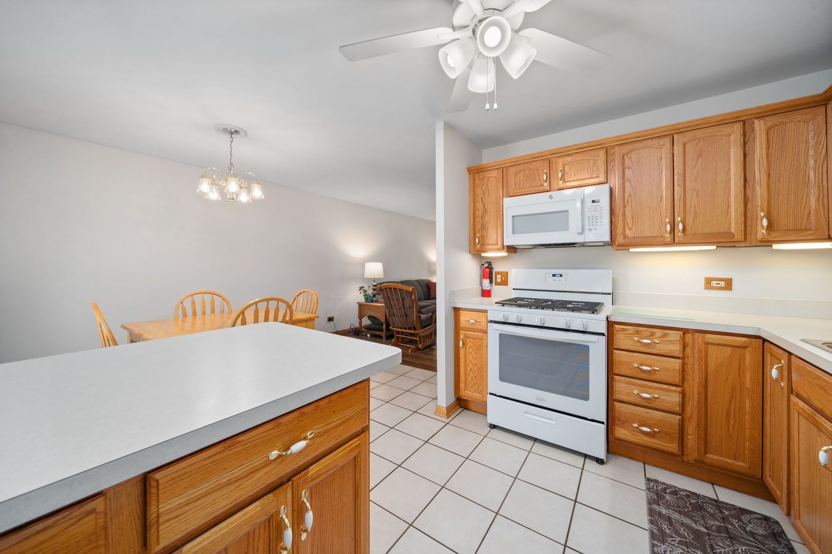 709 Rogers Road Romeoville, IL 60446 - Photo 9 of 25 Gallery Image 9