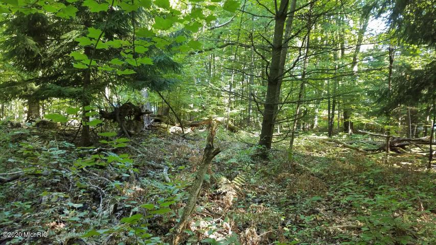 Bennett Road Free Soil, MI 49411 - Photo 9 of 31 20180911201938969944000000-o