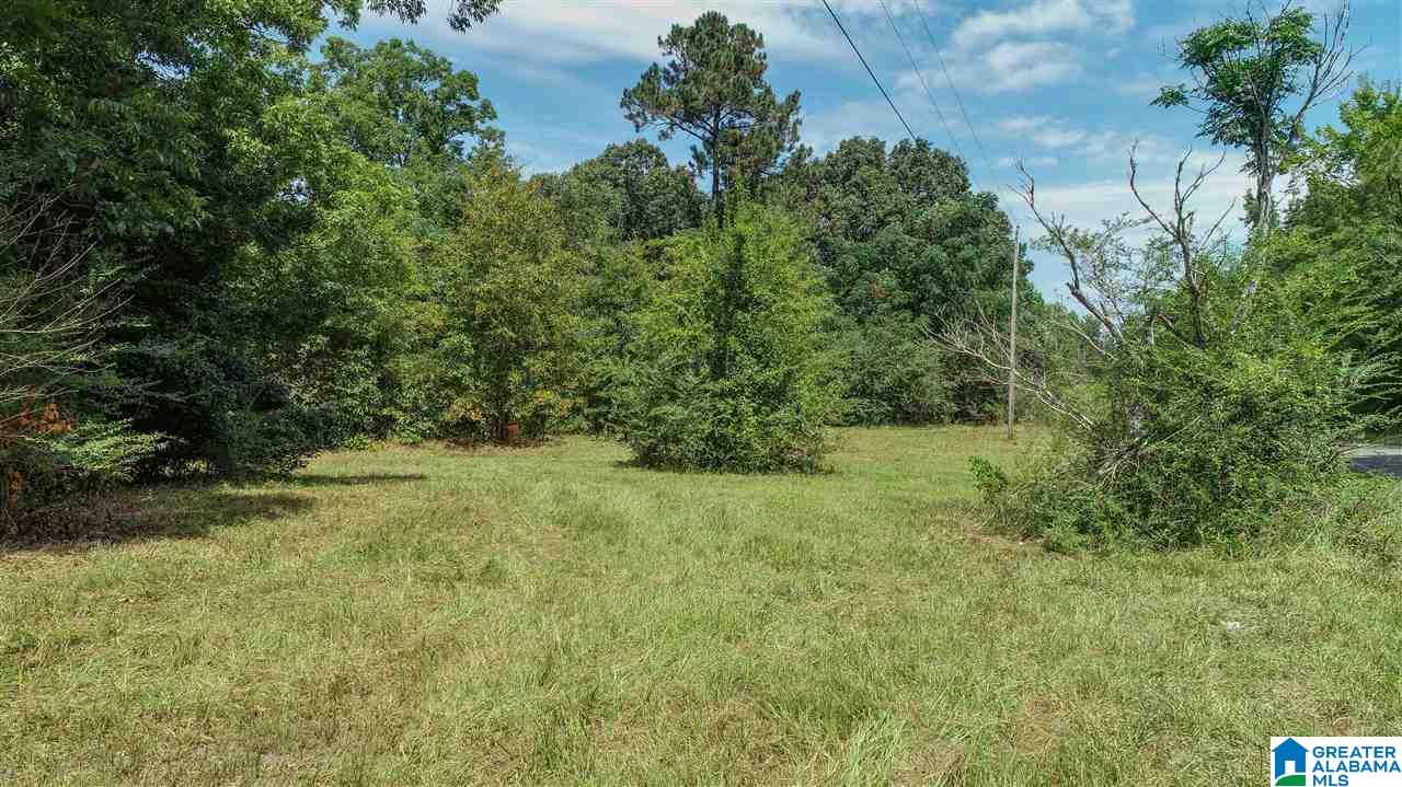 3582 County Road 69, Unit 1 Clanton, AL 35045 - Photo 6 of 8