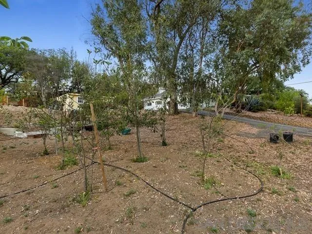 6460 Rainbow Heights Road Fallbrook, CA 92028 - Photo 33 of 38 a view of a yard with trees