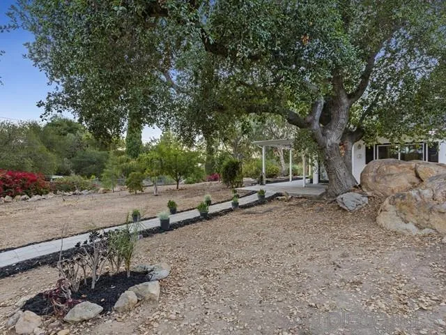 6460 Rainbow Heights Road Fallbrook, CA 92028 - Photo 6 of 38 a view of a yard with a tree