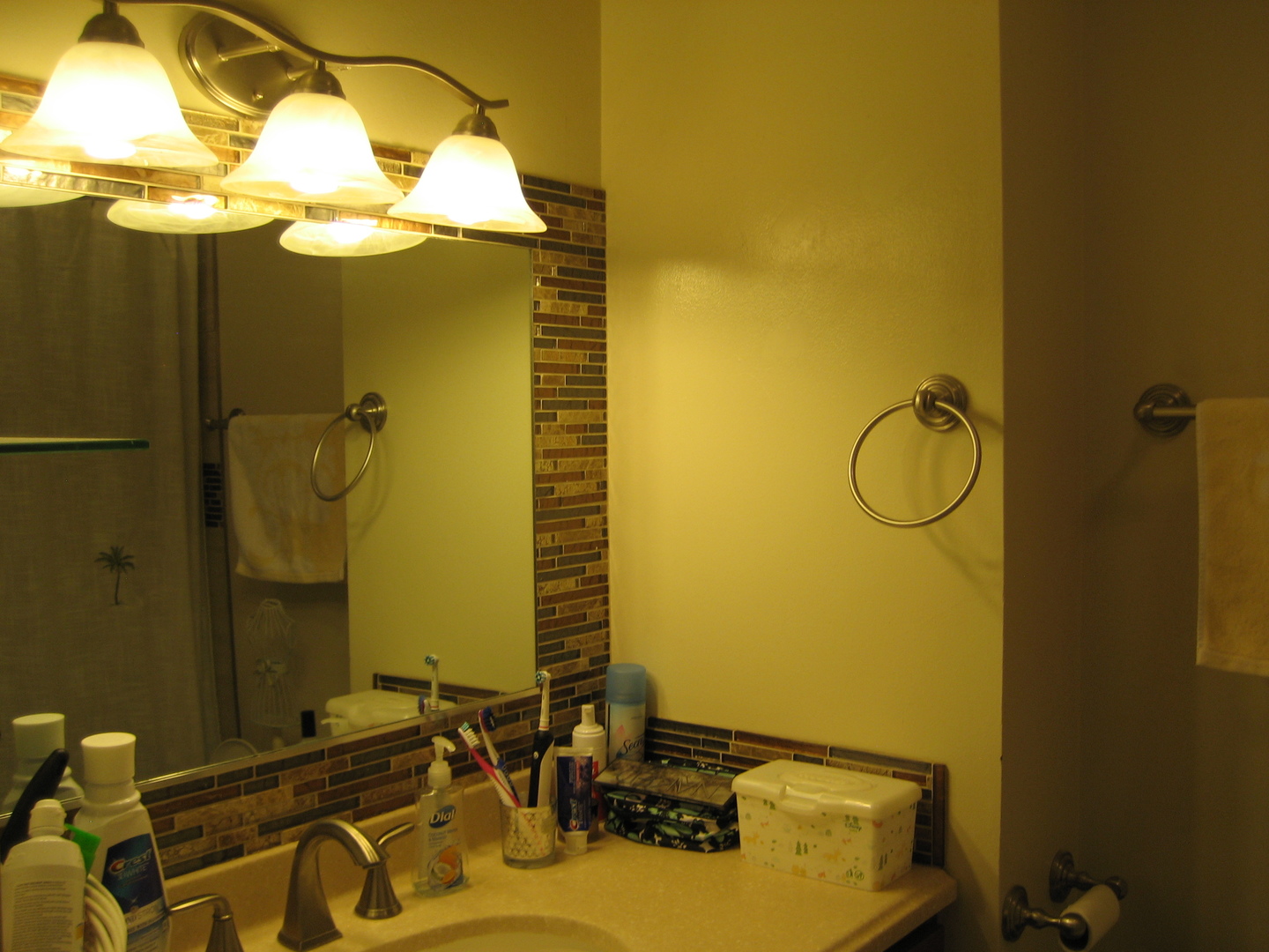 1320 Alpine Court, Unit 4 Wheeling, IL 60090 - Photo 9 of 12