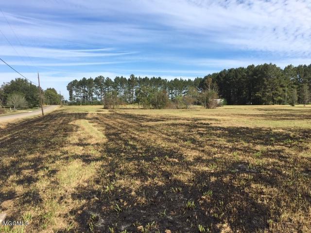 25034 Ramie Farm Road Lucedale, MS 39452 - Photo 1 of 11 2