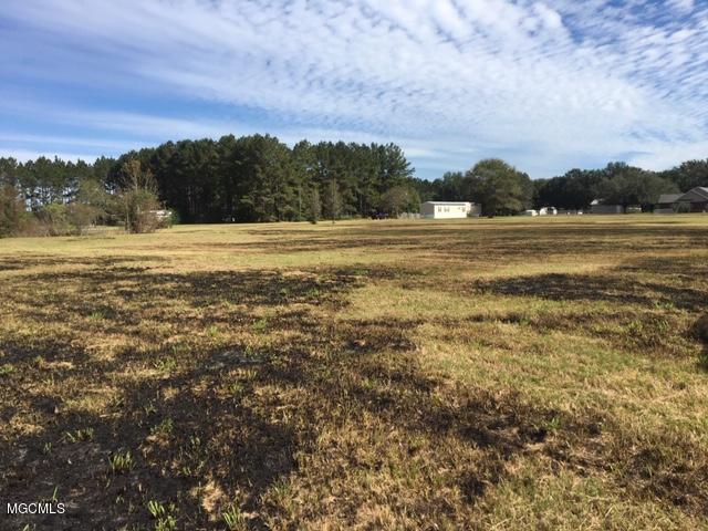25034 Ramie Farm Road Lucedale, MS 39452 - Photo 11 of 11 untitled