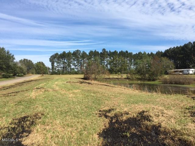 25034 Ramie Farm Road Lucedale, MS 39452 - Photo 3 of 11 4