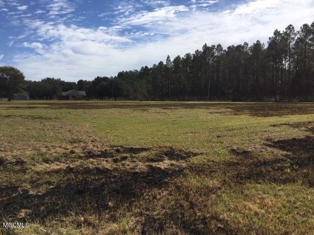 25034 Ramie Farm Road Lucedale, MS 39452 - Photo 5 of 11 6