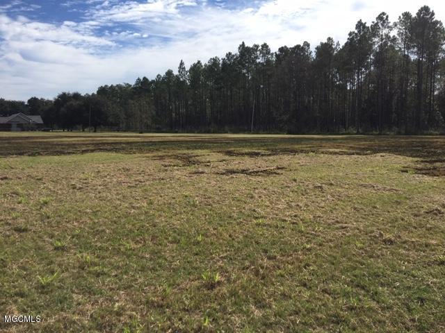 25034 Ramie Farm Road Lucedale, MS 39452 - Photo 6 of 11 7