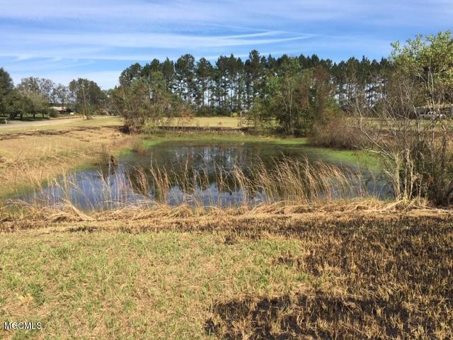 25034 Ramie Farm Road Lucedale, MS 39452 - Photo 8 of 11 9