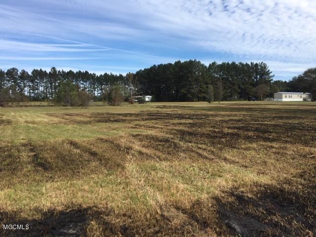 25034 Ramie Farm Road Lucedale, MS 39452 - Photo 10 of 11 11