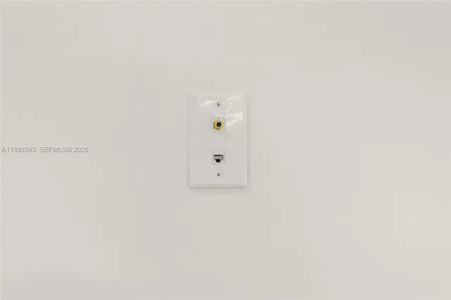 a view of a backyard with plants and large tree