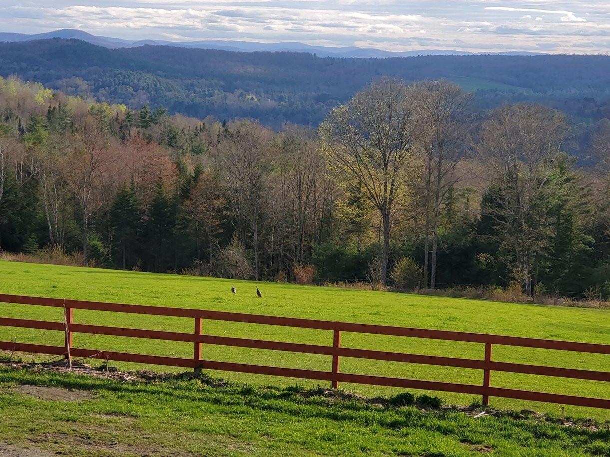 190 Bolander Rd Pvt Bradford, VT 05040 - Photo 11 of 40