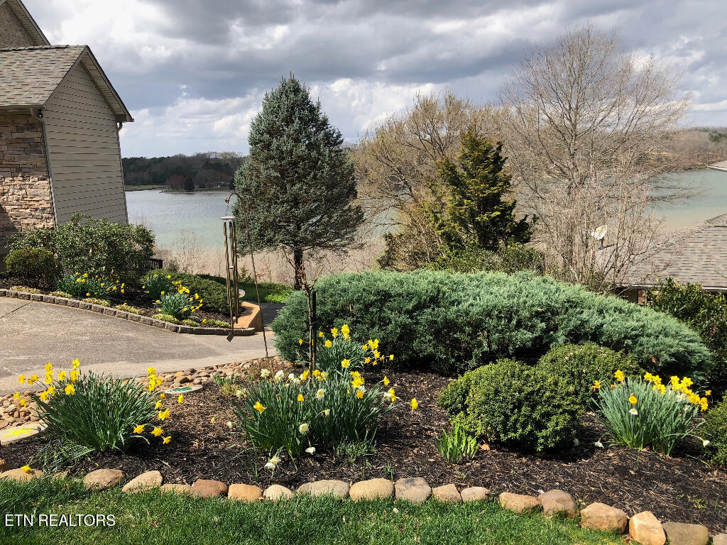 1231 Windridge Road Friendsville, TN 37737 - Photo 44 of 56 43