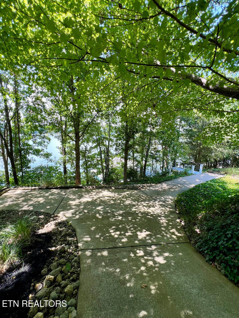 1231 Windridge Road Friendsville, TN 37737 - Photo 46 of 56 45