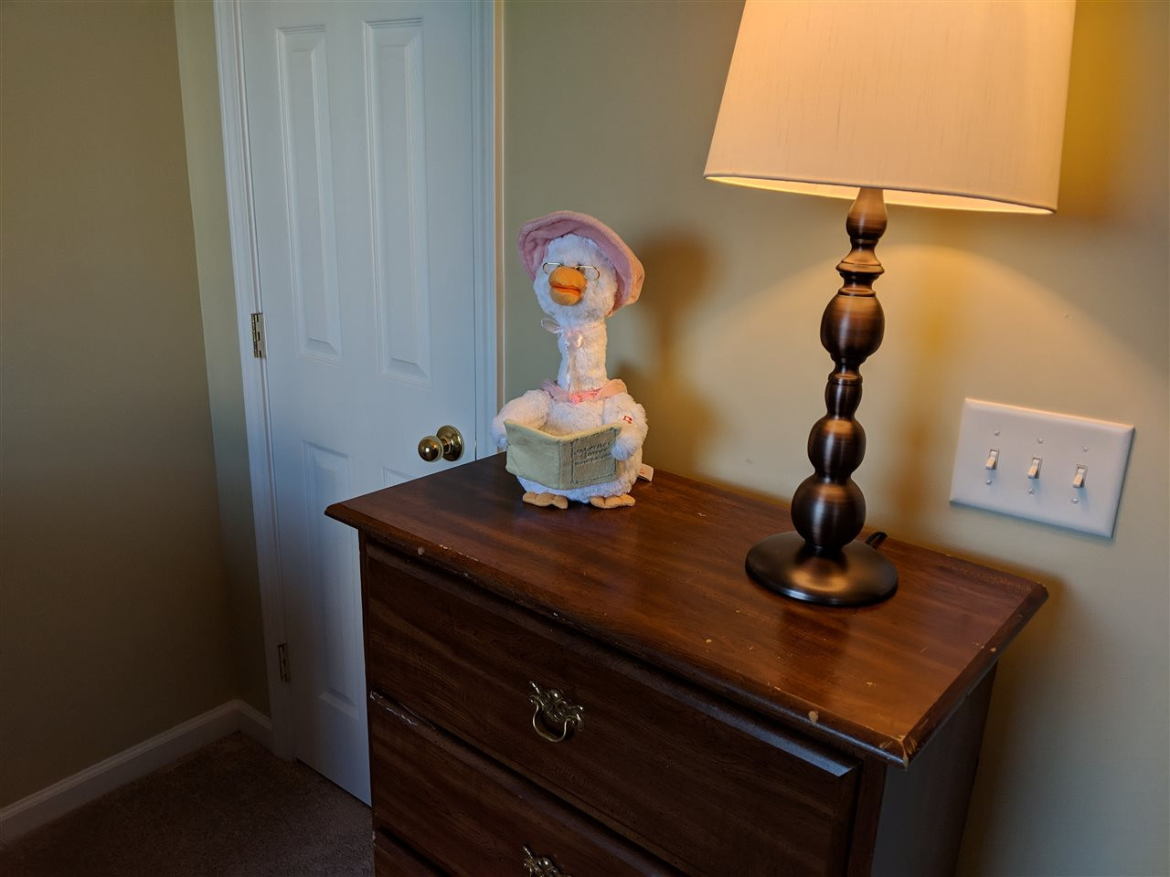 8509 Mt Valley Lane Raleigh, NC 27613 - Photo 21 of 22 Photo 21