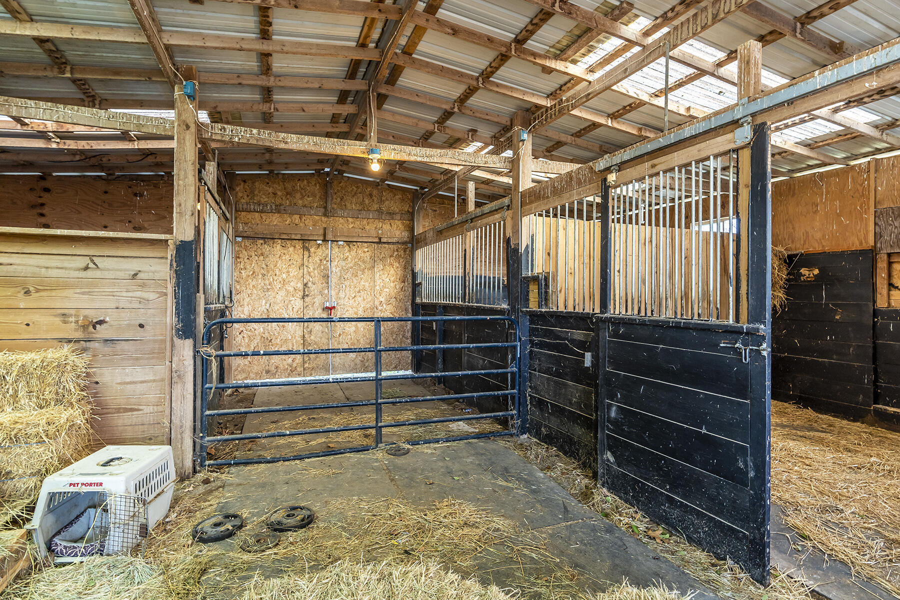 2140 Bethel Road Nicholasville, KY 40356 - Photo 34 of 45 2140bethel35