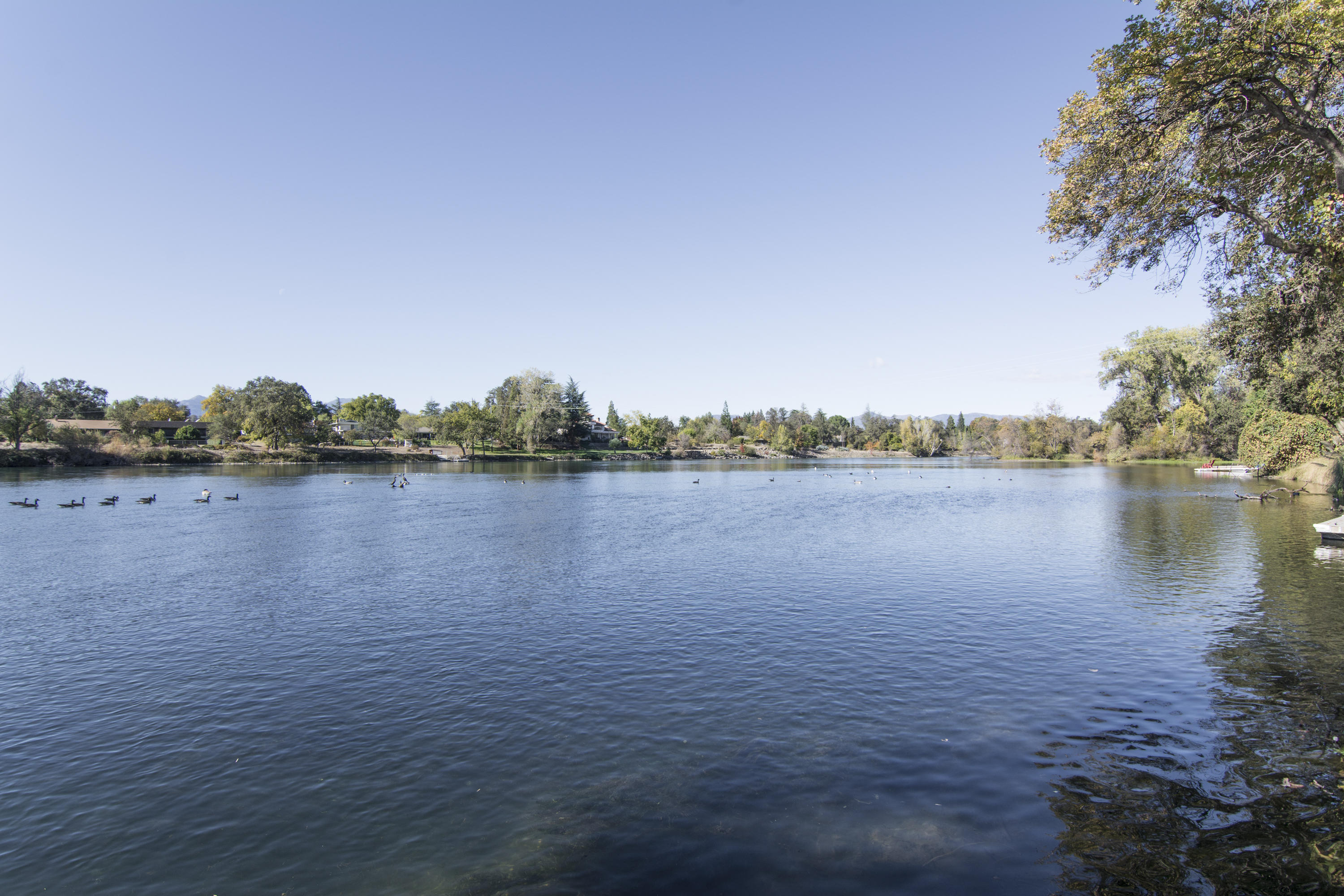 3114 Brent Road Redding, CA 96002 - Photo 21 of 23 Back Yard - Sacramento River