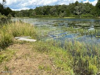 Lot D Spruce Lake Road Thompson, PA 18465 - Photo 15 of 19