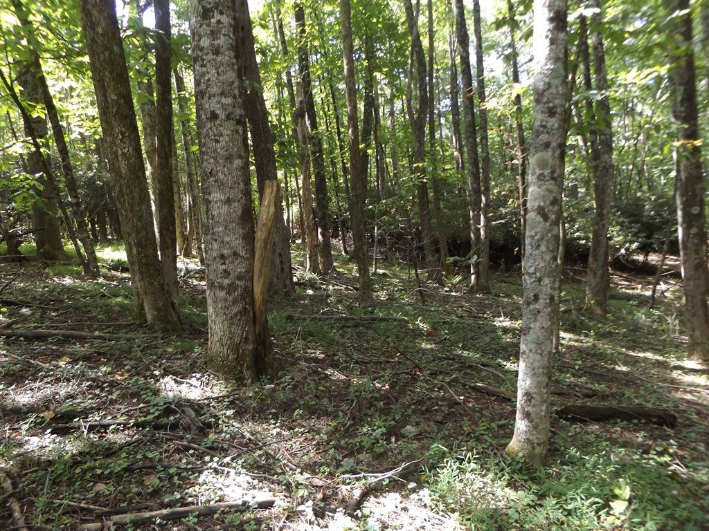 291 Laurel Fork Road Laurel Fork, VA 24352 - Photo 28 of 28 Gallery Image 28