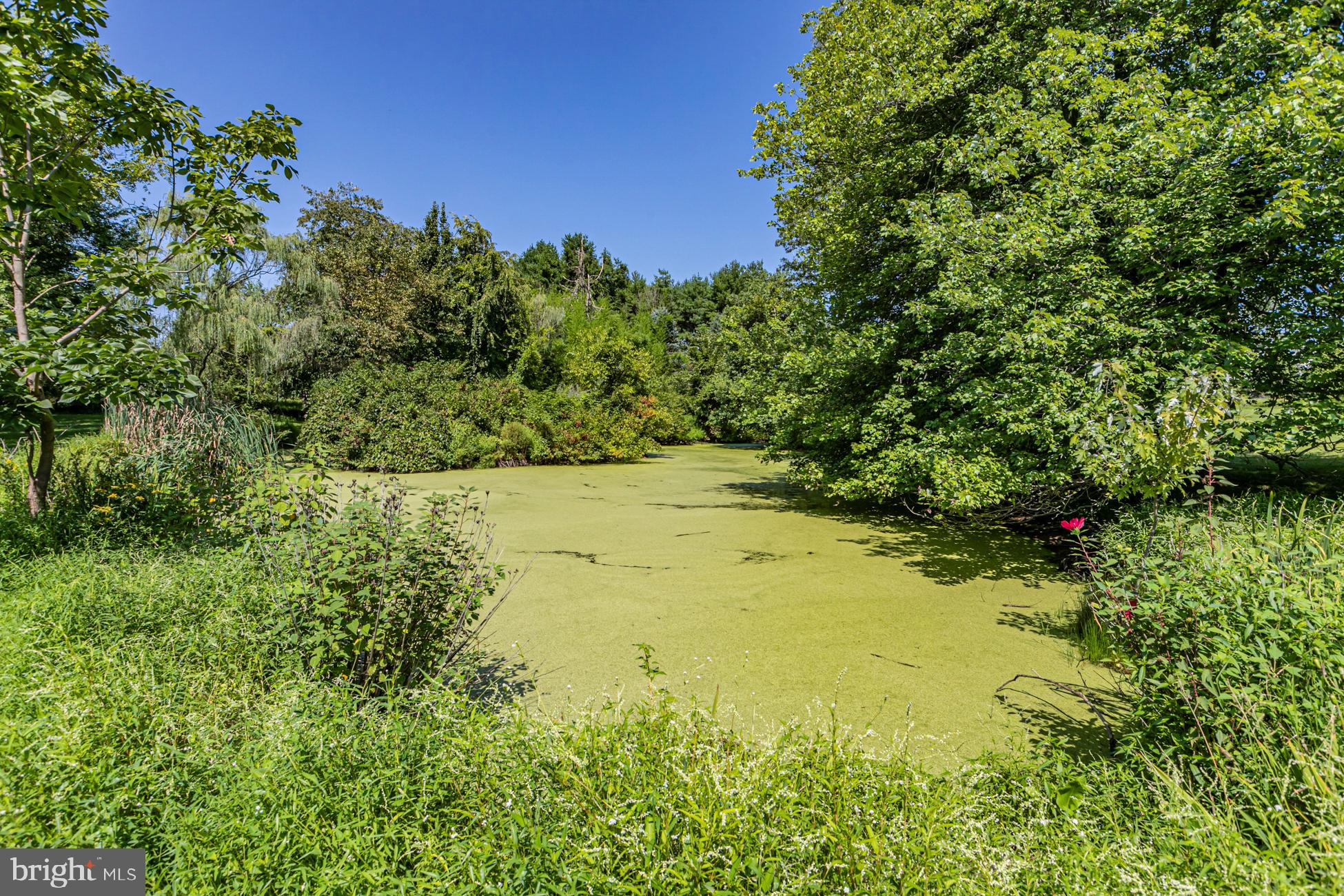 1146 Wrightstown Road Newtown, PA 18940 - Photo 21 of 35 Pond with island pond clears in fall