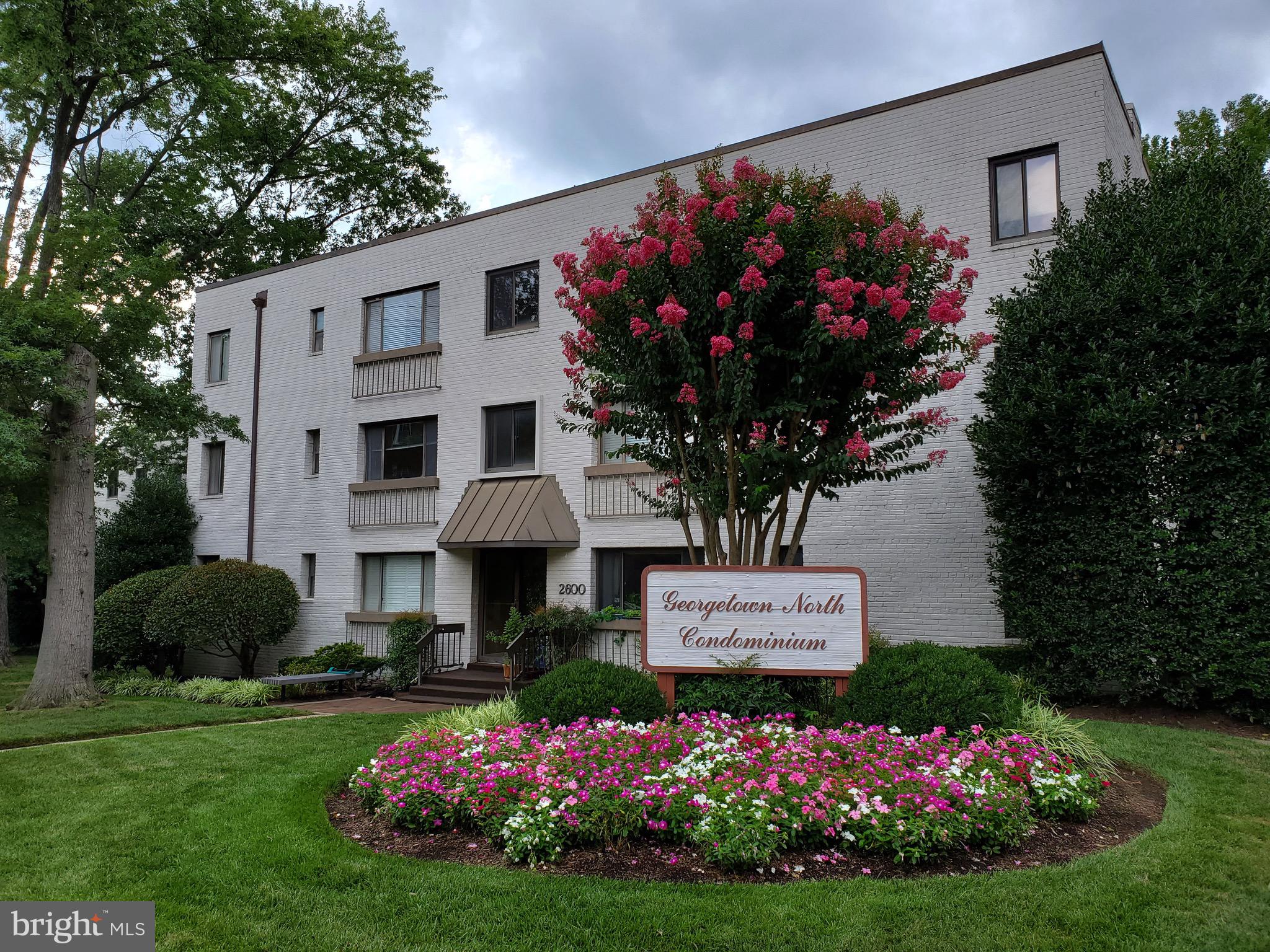 a front view of a house with a yard and flowers