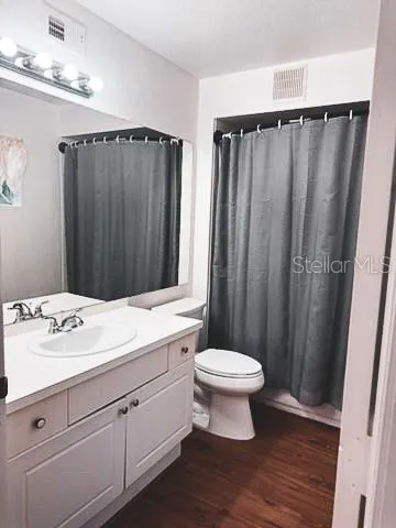 a bathroom with a sink a toilet a mirror and shower curtain
