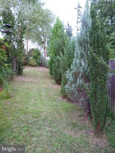 3721 Katie Place Triangle, VA 22172 - Photo 22 of 27 a view of a yard with a tree