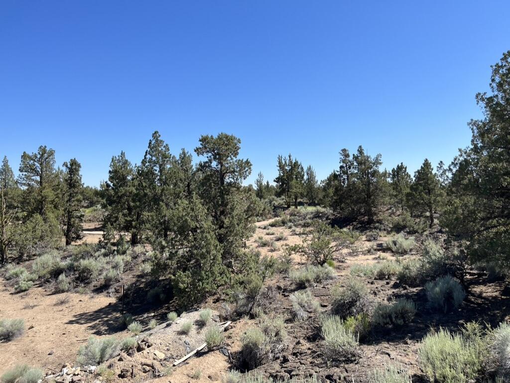 22957 Ghost Tree Lane, Unit 333 Bend, OR 97701 - Photo 13 of 21 Common space behind lot provides privacy