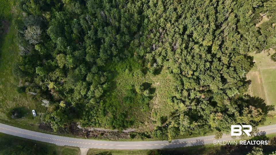 13850 Tallahatta Springs Road Thomasville, AL 36784 - Photo 26 of 27 View of property location