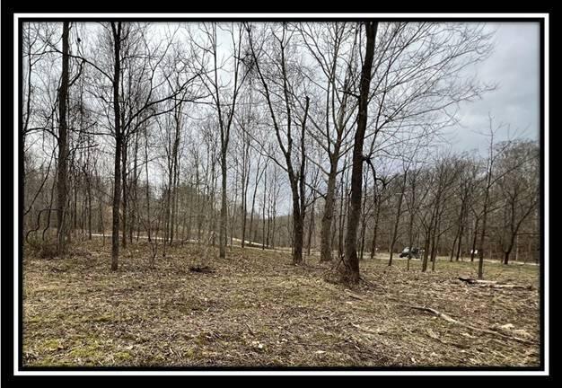 35471 Buck Run Road Langsville, OH 45741 - Photo 23 of 32