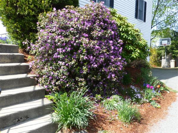 38 Bonad Road Arlington, MA 02476 - Photo 3 of 30 Gallery Image 3