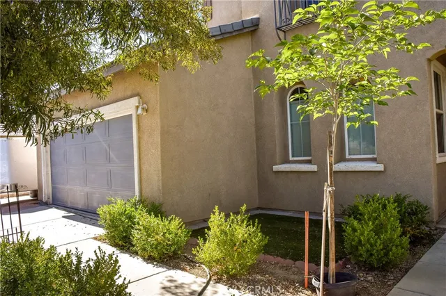 a view of a house with a tree and plants