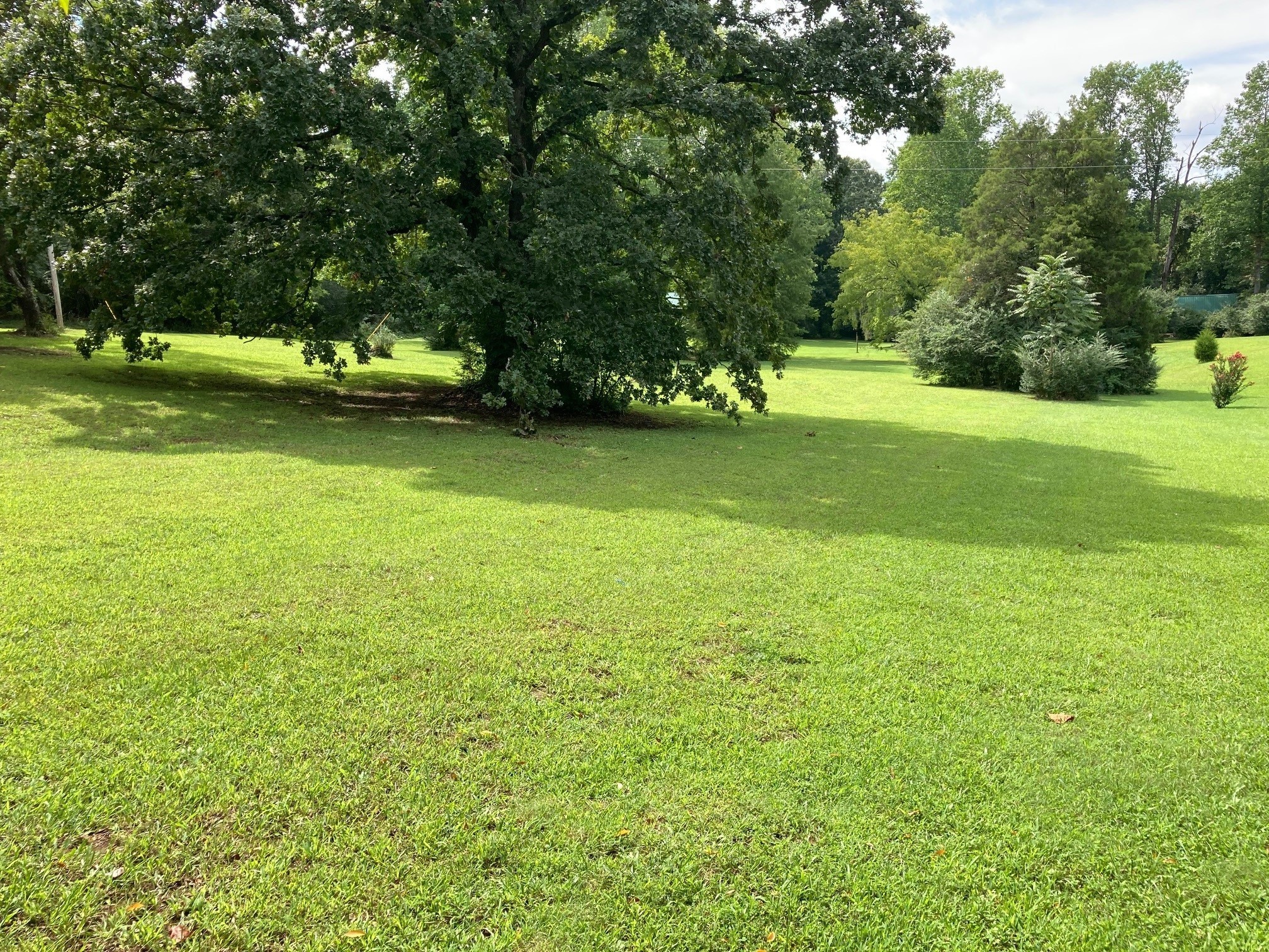 114 Saw Mill Road Dickson, TN 37055 - Photo 1 of 6 a view of field with trees