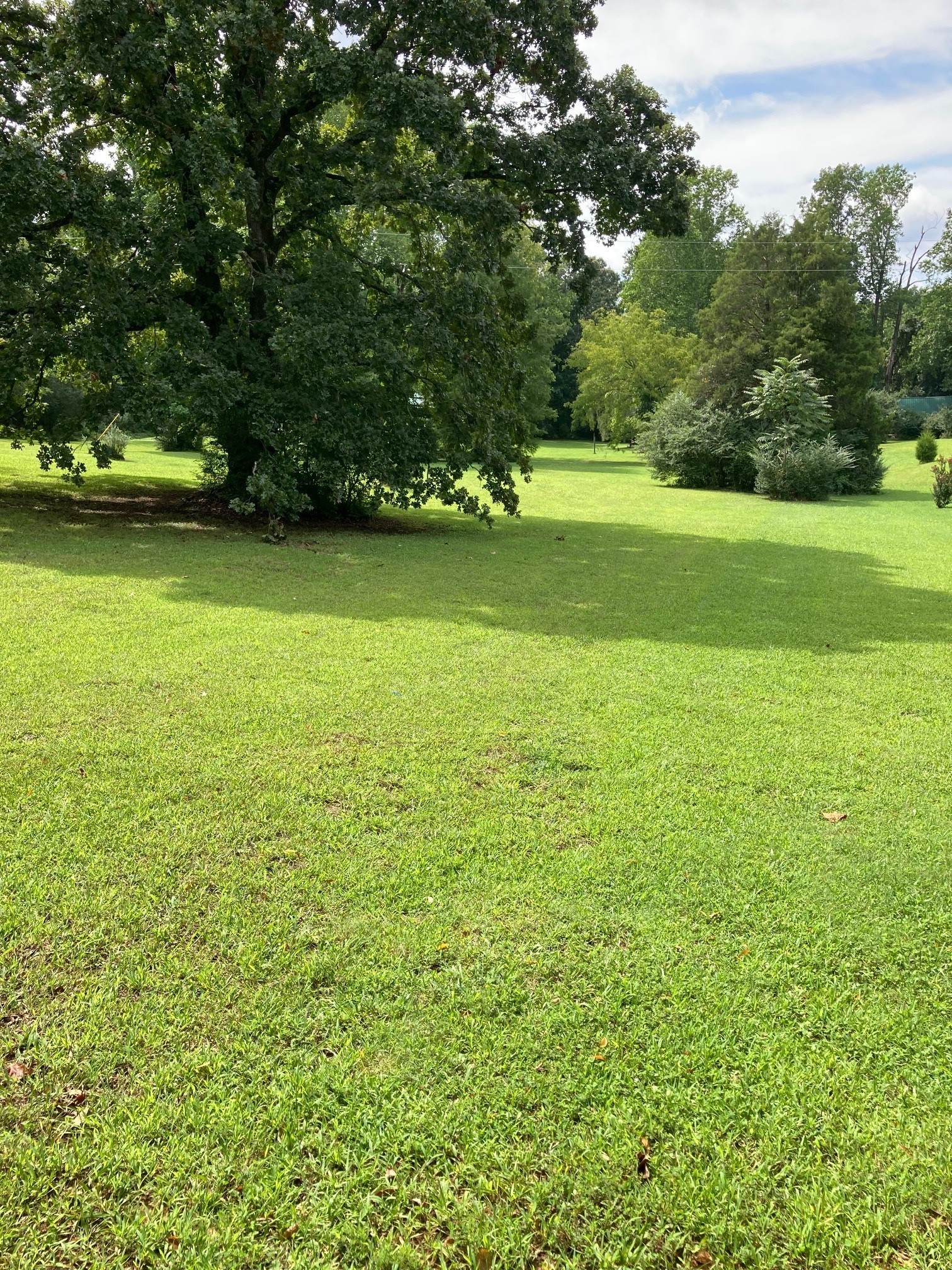 114 Saw Mill Road Dickson, TN 37055 - Photo 2 of 6 a view of a field with a trees in the background