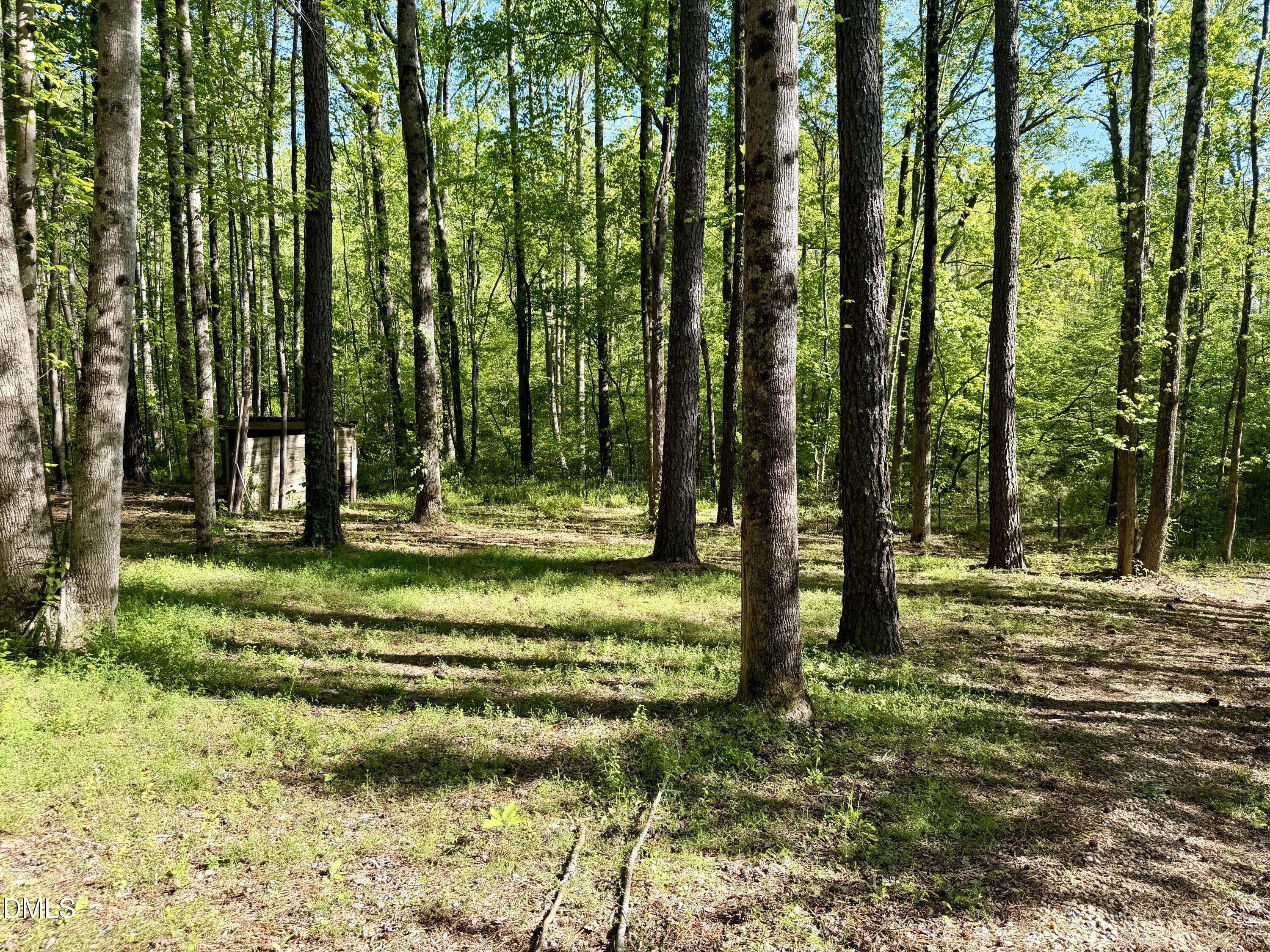 4074 Old Franklinton Road Franklinton, NC 27525 - Photo 28 of 33 IMG_4467