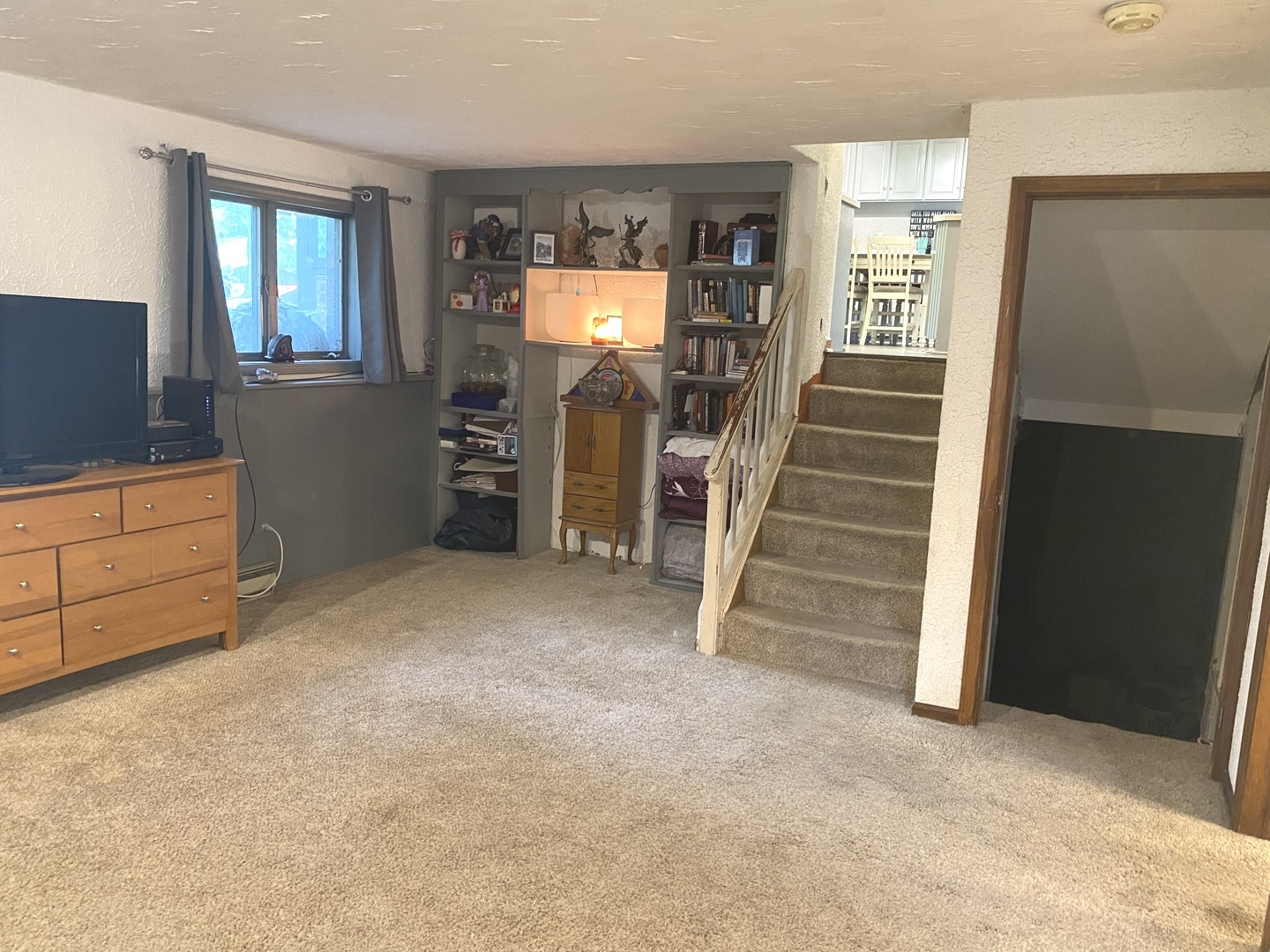 323 San Carlos Road Minooka, IL 60447 - Photo 9 of 20