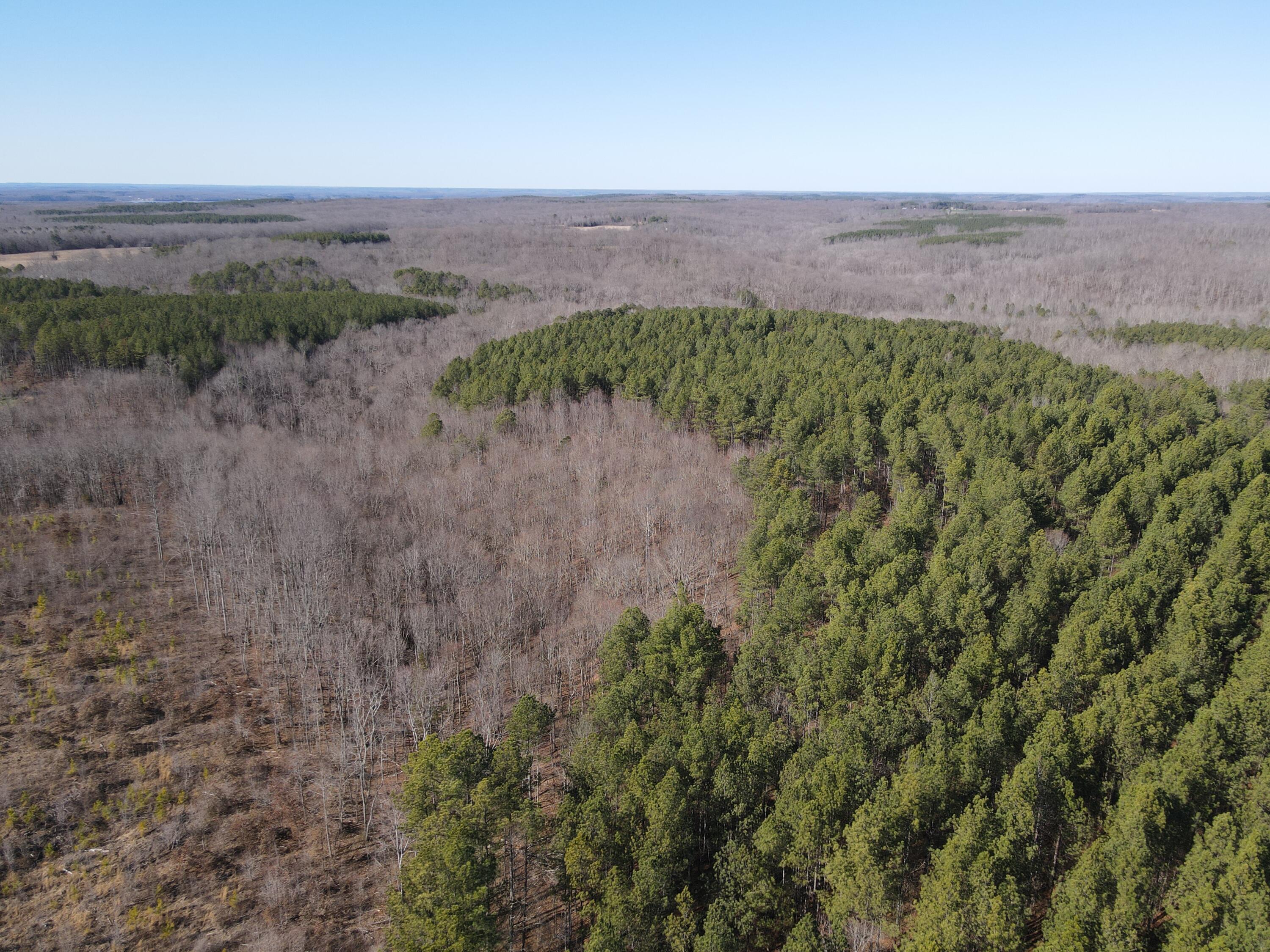 0 Danville Road, Unit 1 Big Sandy, TN 38221 - Photo 11 of 14 DJI_0295
