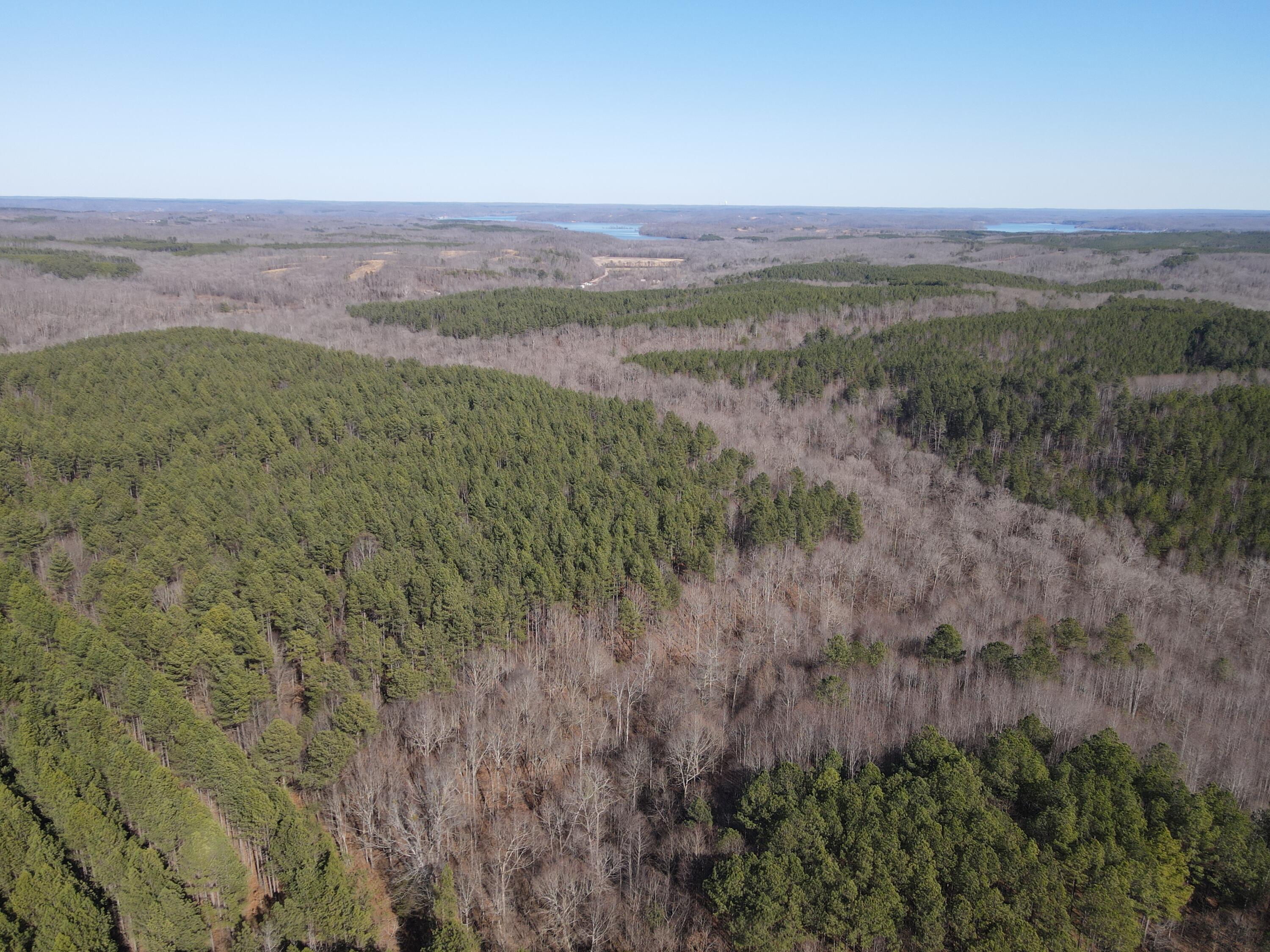 0 Danville Road, Unit 1 Big Sandy, TN 38221 - Photo 12 of 14 DJI_0298