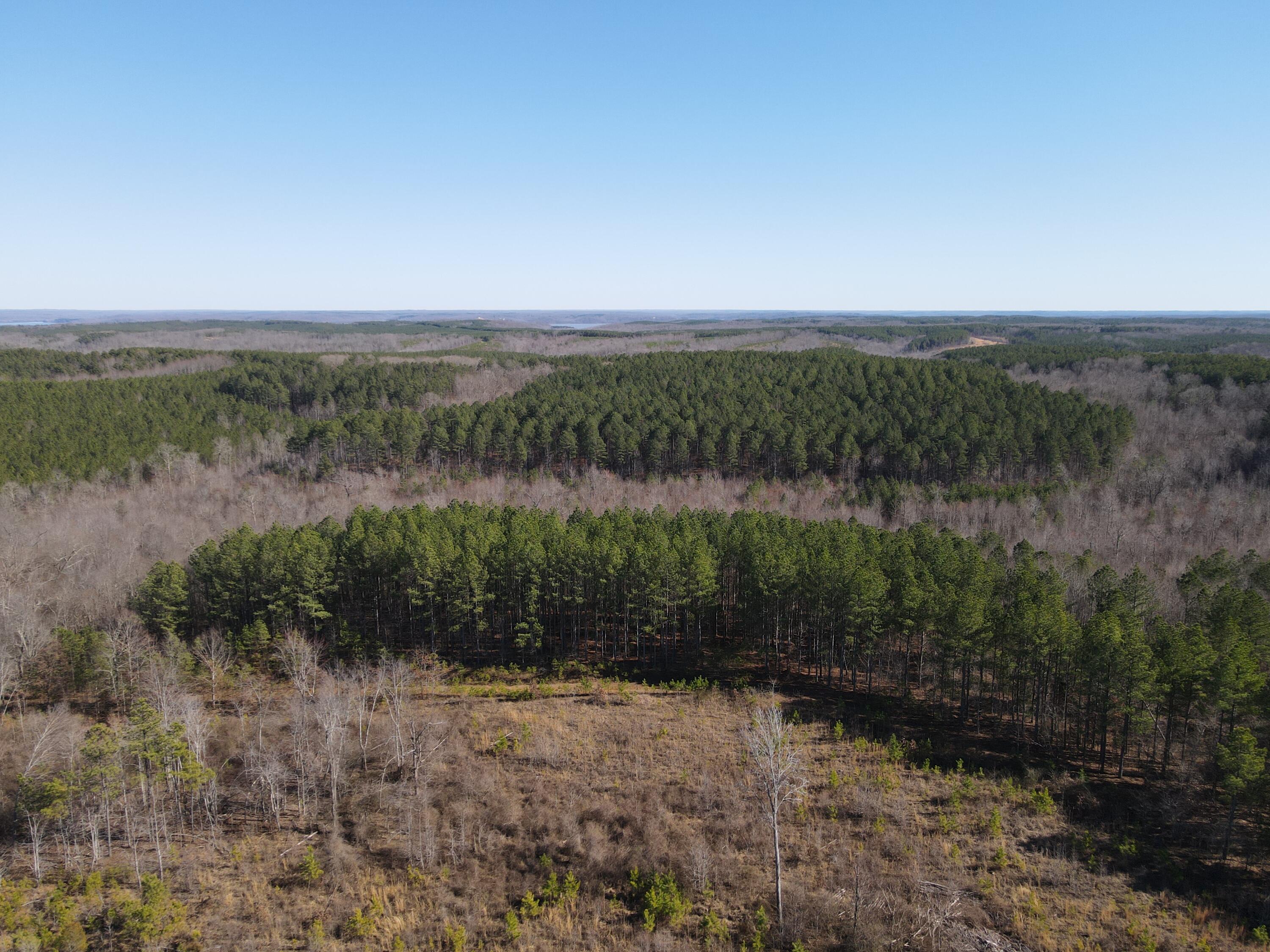 0 Danville Road, Unit 1 Big Sandy, TN 38221 - Photo 13 of 14 DJI_0294