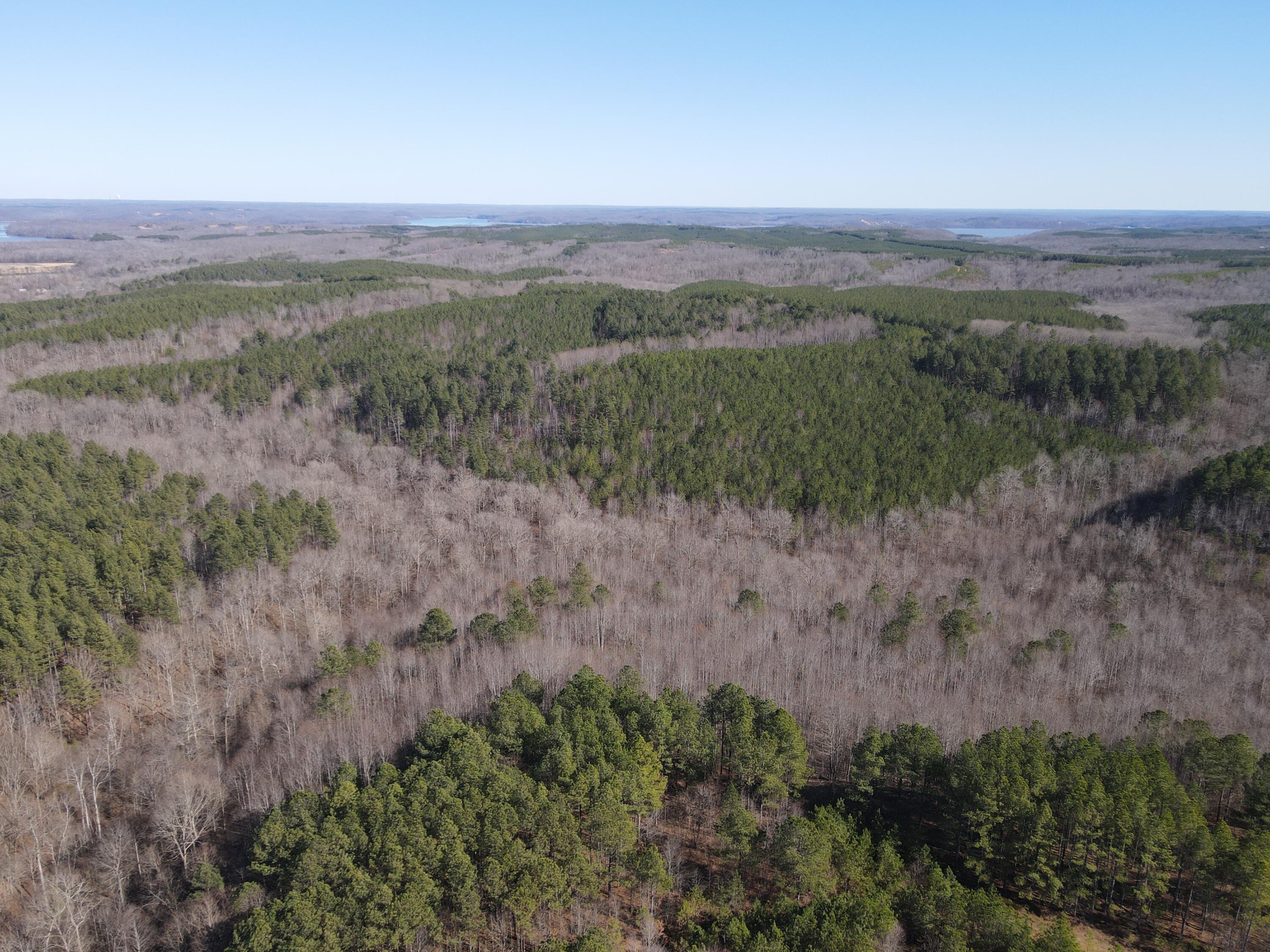 0 Danville Road, Unit 1 Big Sandy, TN 38221 - Photo 14 of 14 DJI_0299