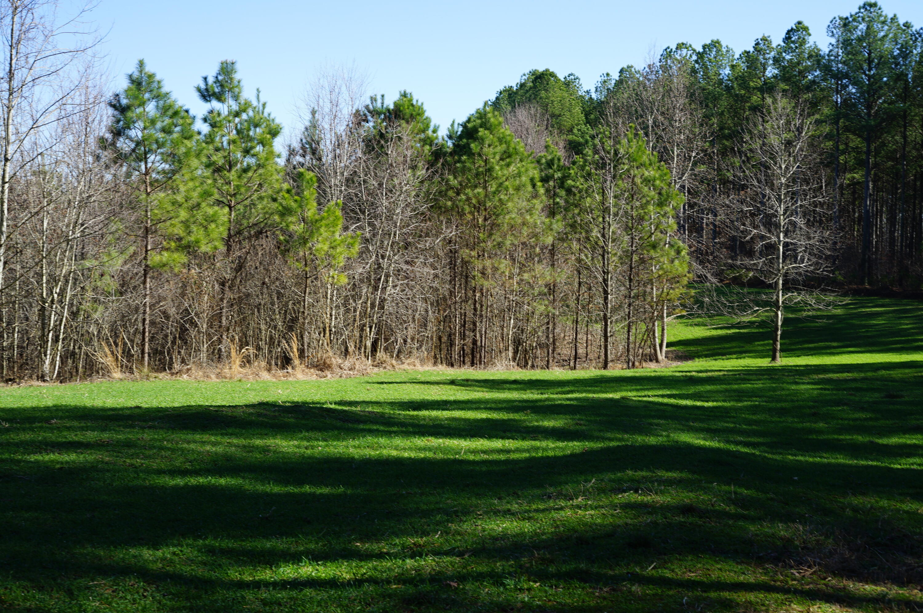 0 Danville Road, Unit 1 Big Sandy, TN 38221 - Photo 2 of 14 DSC00186