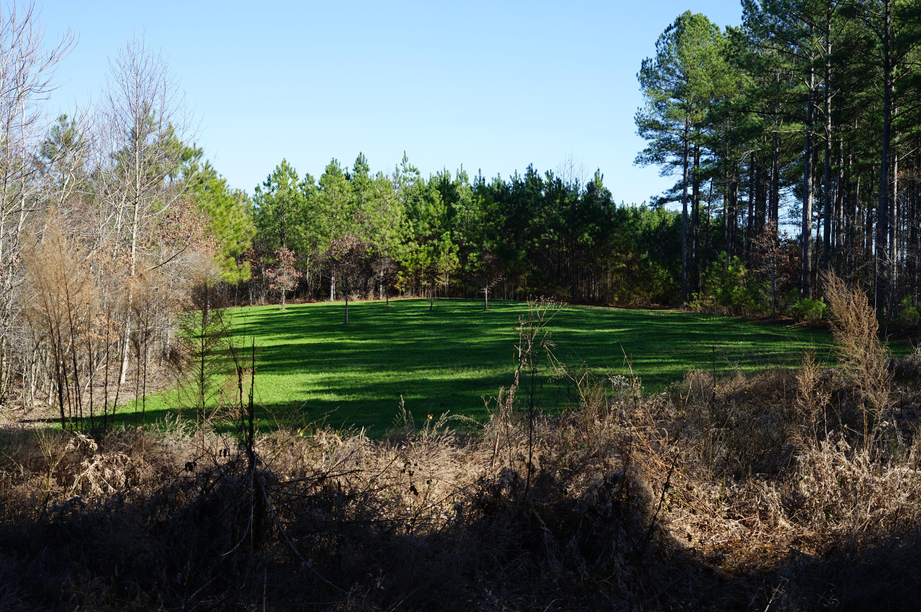 0 Danville Road, Unit 1 Big Sandy, TN 38221 - Photo 3 of 14 DSC00190