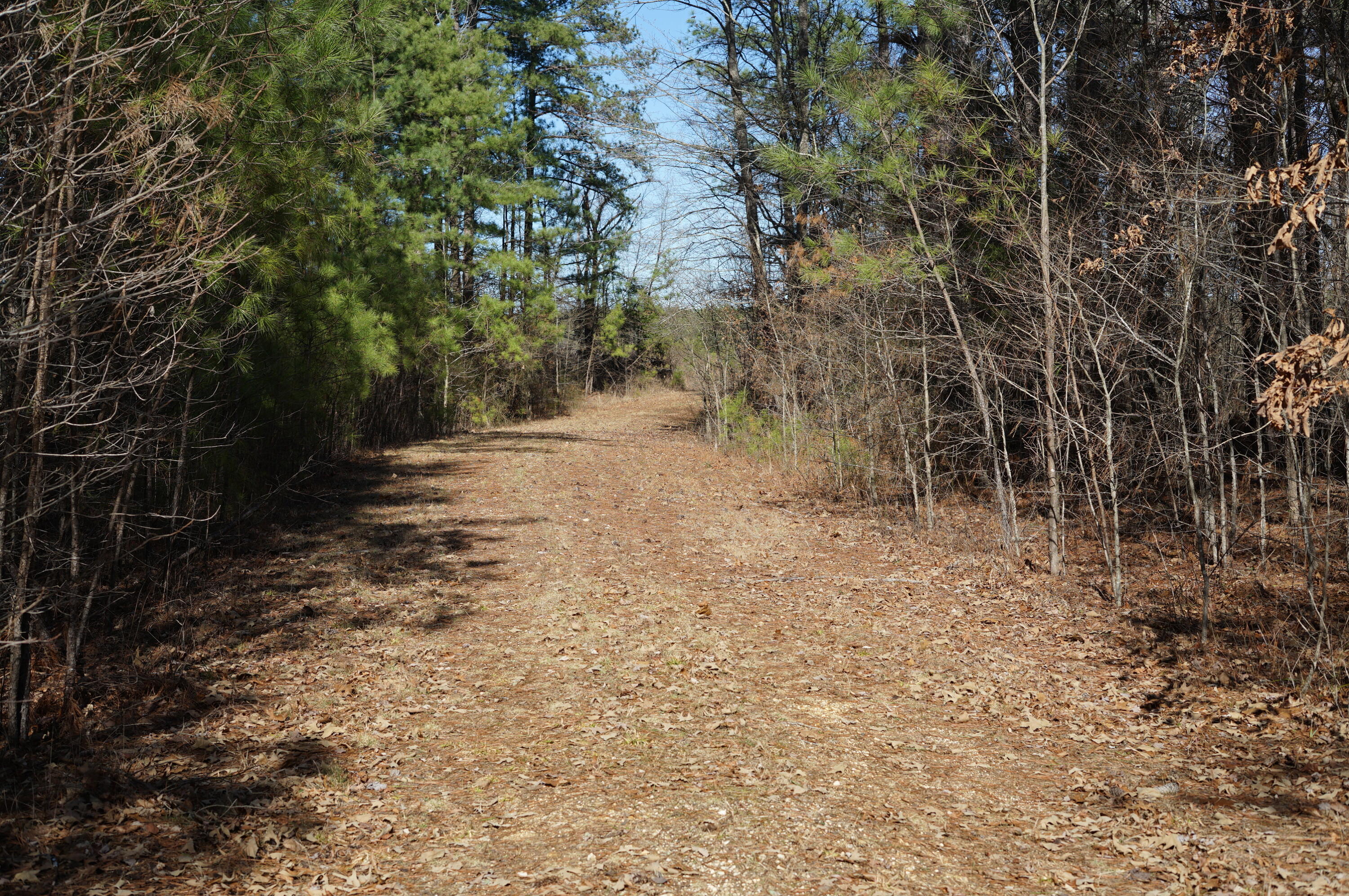 0 Danville Road, Unit 1 Big Sandy, TN 38221 - Photo 9 of 14 DSC00167