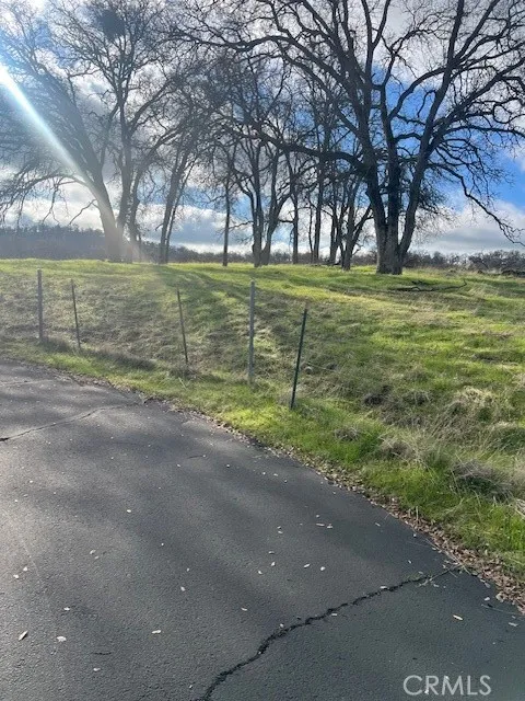 0 Bobcat Road Coarsegold, CA 93614 - Photo 12 of 14 a view of a field with an trees