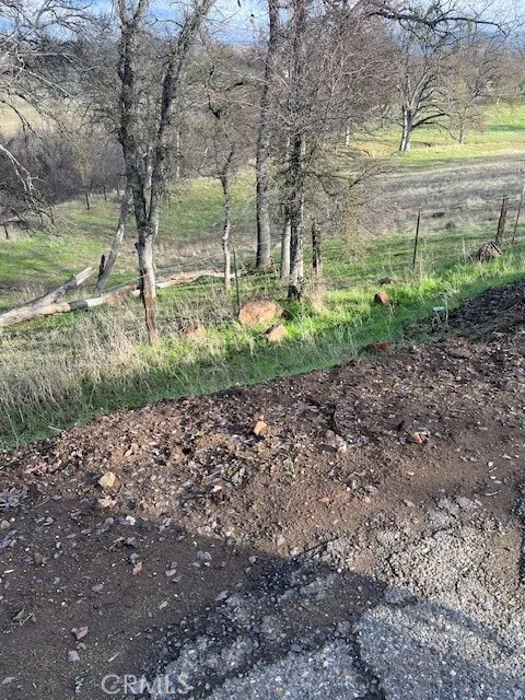 0 Bobcat Road Coarsegold, CA 93614 - Photo 2 of 14 a view of a garden with large trees