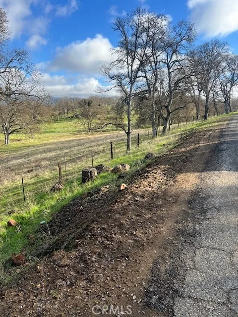 0 Bobcat Road Coarsegold, CA 93614 - Photo 3 of 14 a view of a yard with an outdoor space