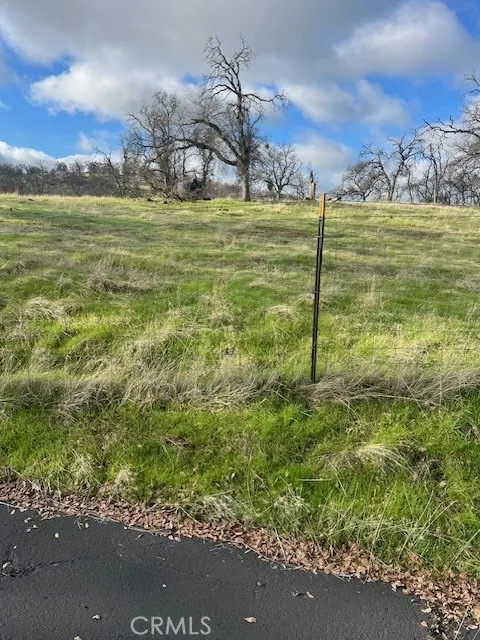0 Bobcat Road Coarsegold, CA 93614 - Photo 7 of 14 a view of a yard with an outdoor space