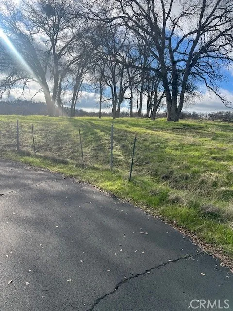 0 Bobcat Road Coarsegold, CA 93614 - Photo 8 of 14 a view of a field with tree s